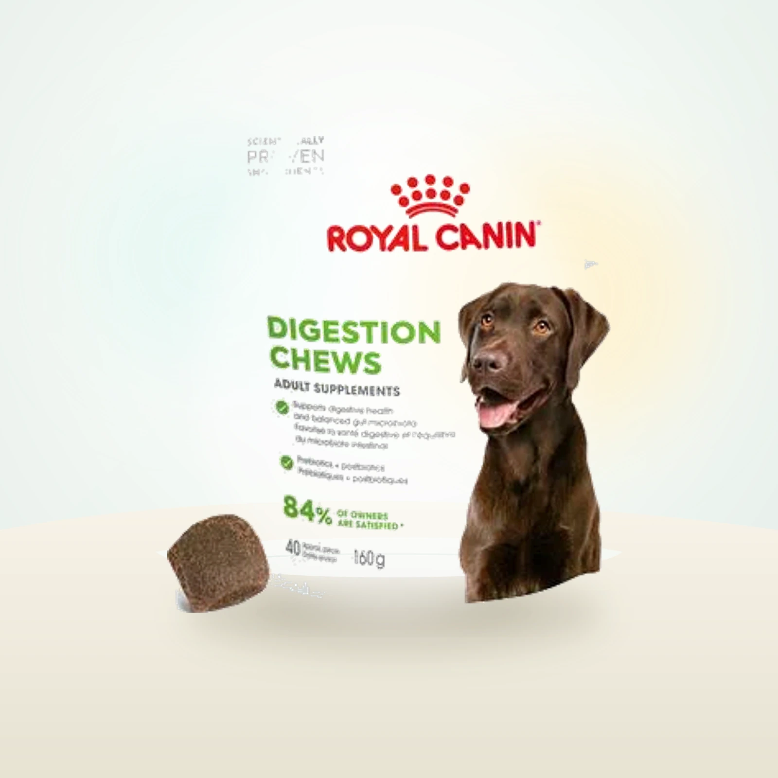 Royal Canin Digestion Adult Supplement Chews