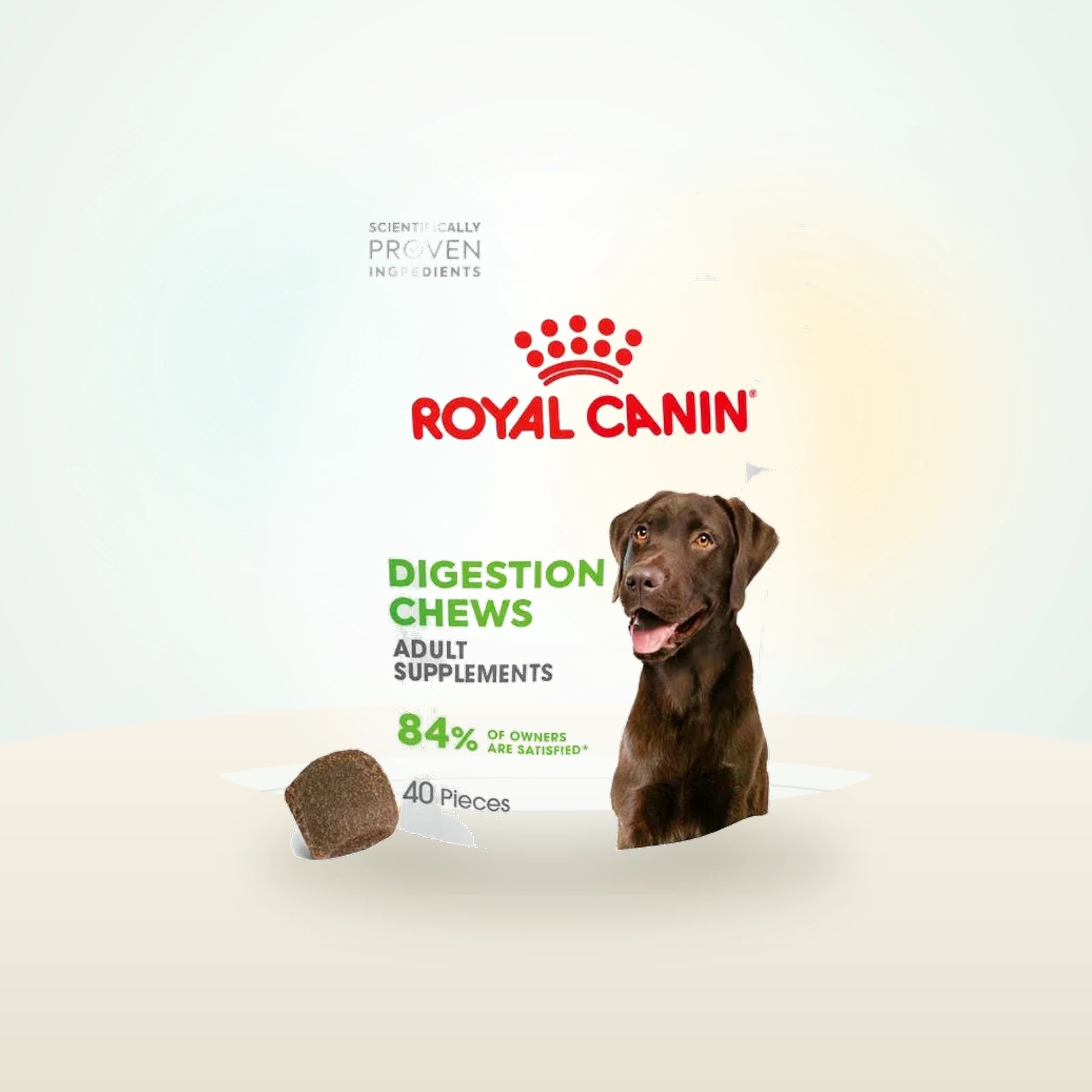 Royal Canin Digestion Chews Functional Dog Treats