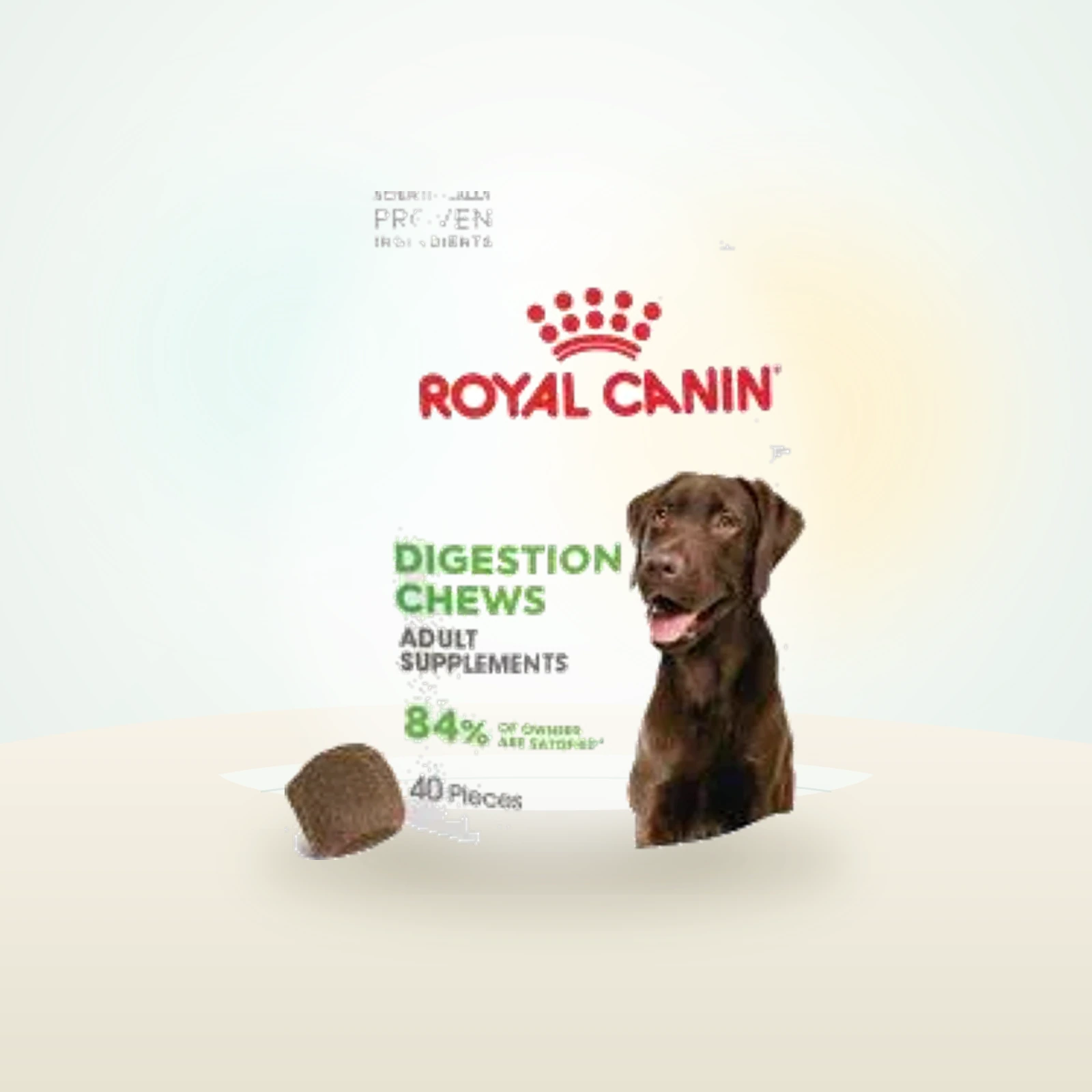 Royal Canin Digestion Chews