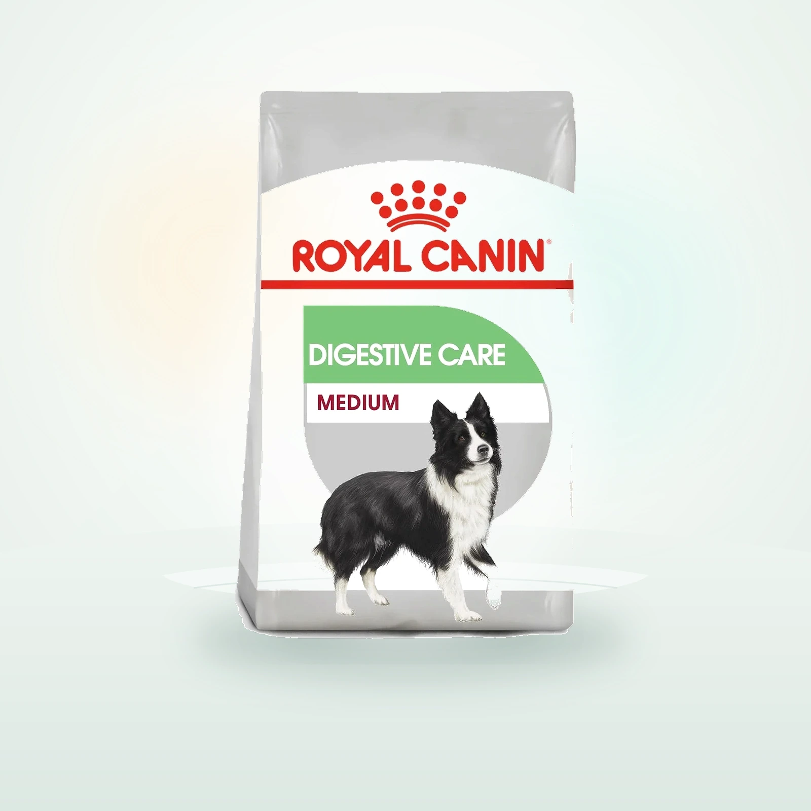 Royal Canin DIGESTIVE CARE MEDIUM Trockenfutter für mittelgroße Hunde mit emfindlicher Verdauung
