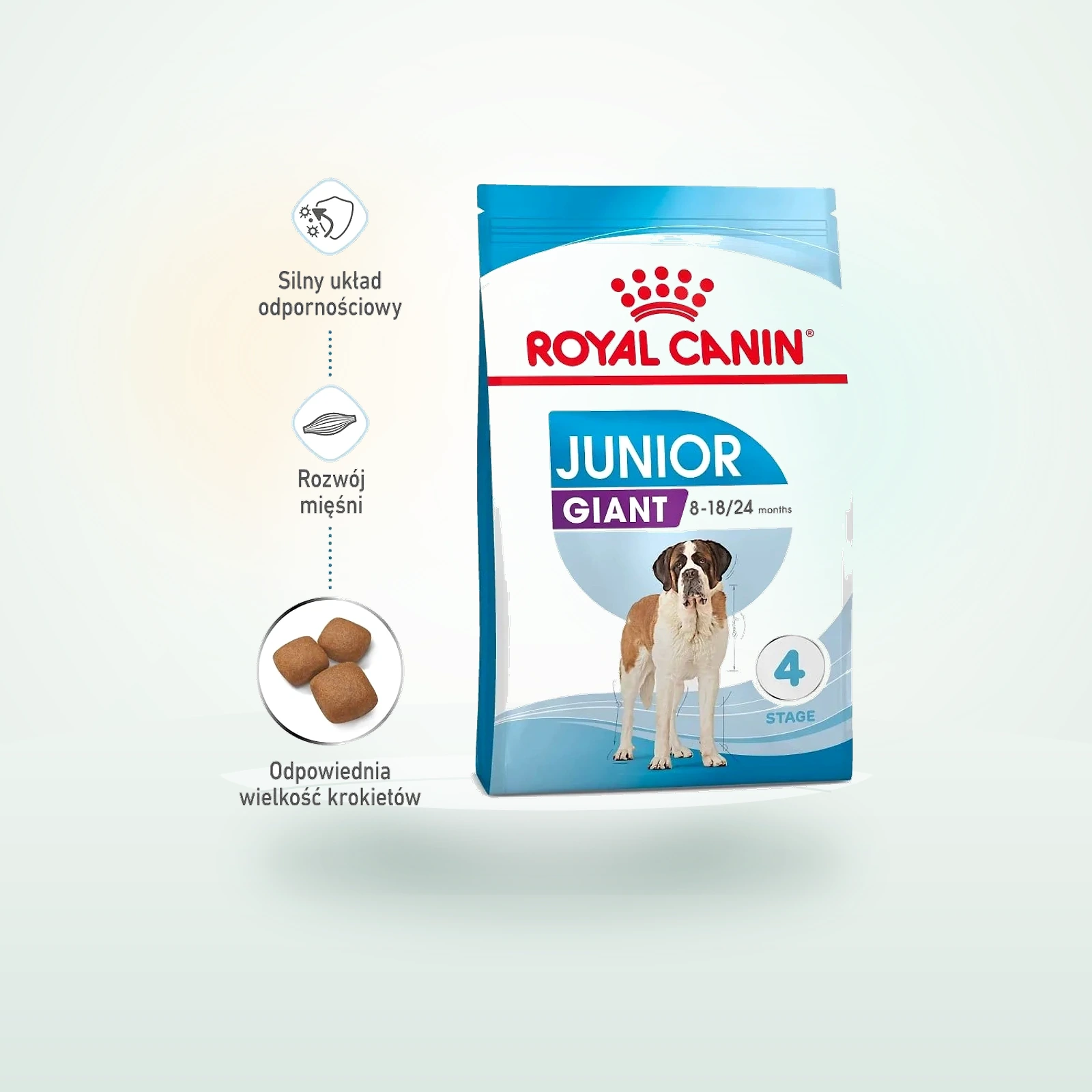 Royal Canin Giant Junior karma sucha dla szczeniąt od 8 do 18/24 miesiąca życia, ras olbrzymich