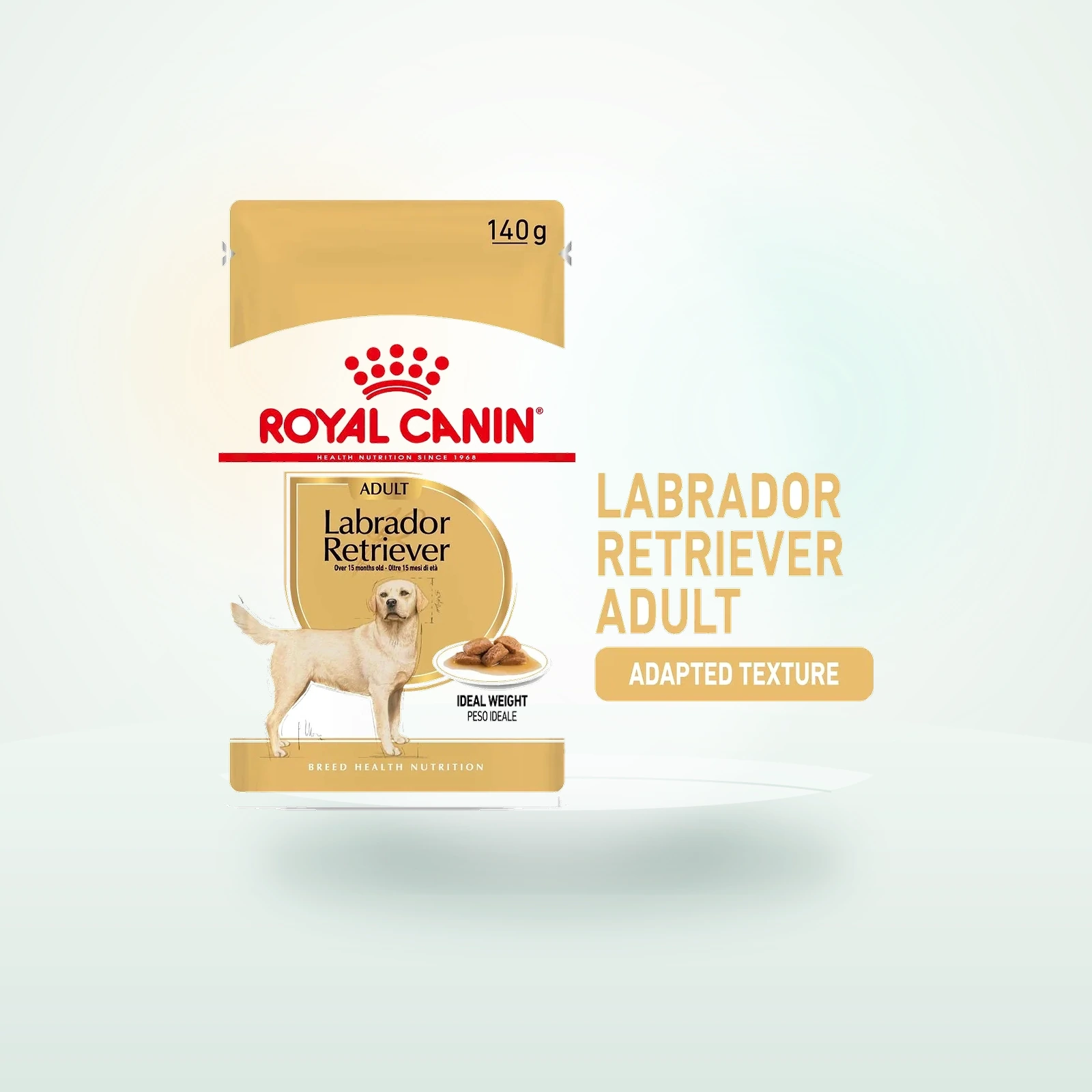 Royal Canin Labrador Retriever Adult Stückchen in Soße