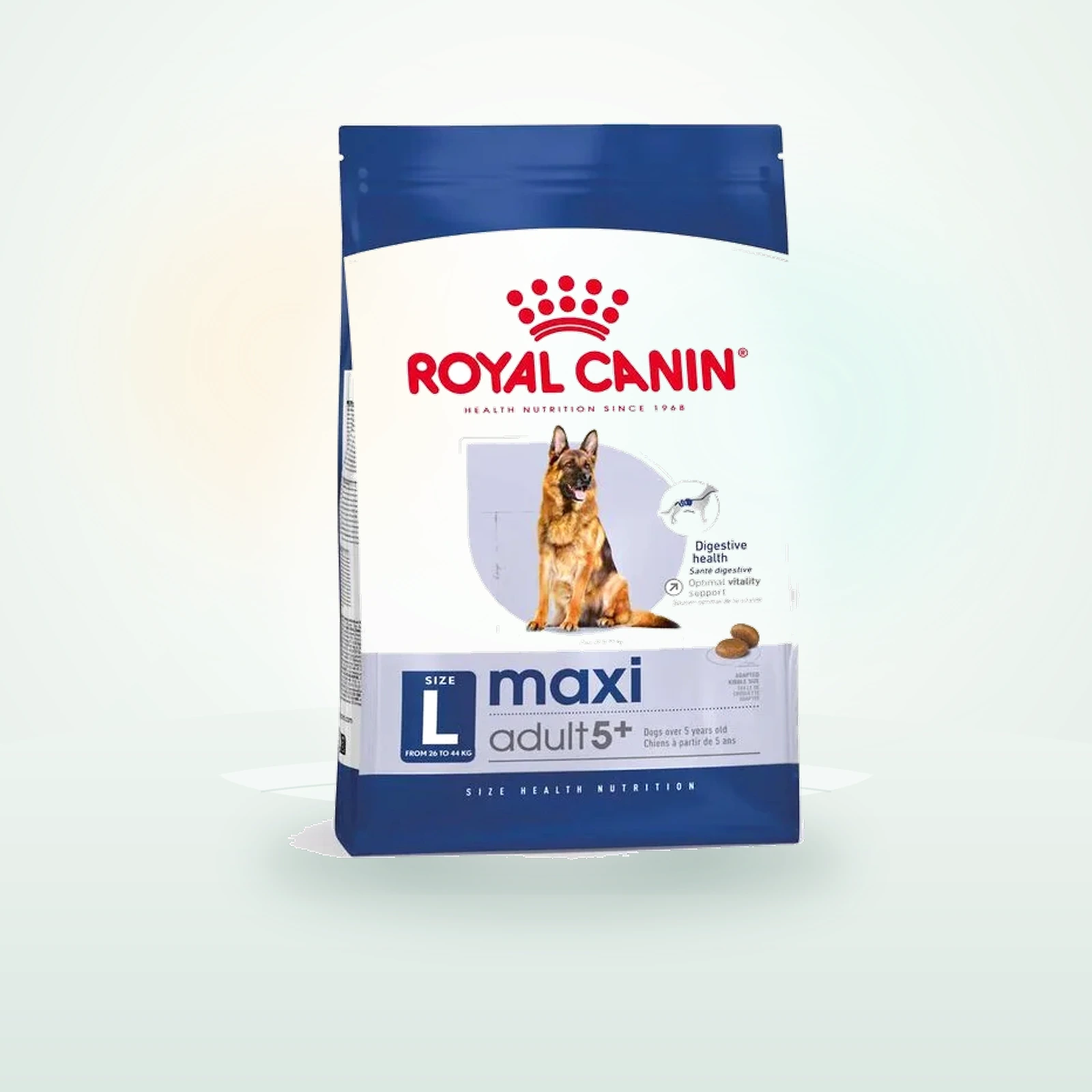 Royal Canin Maxi Adult 5+ pienso senior de raza grande