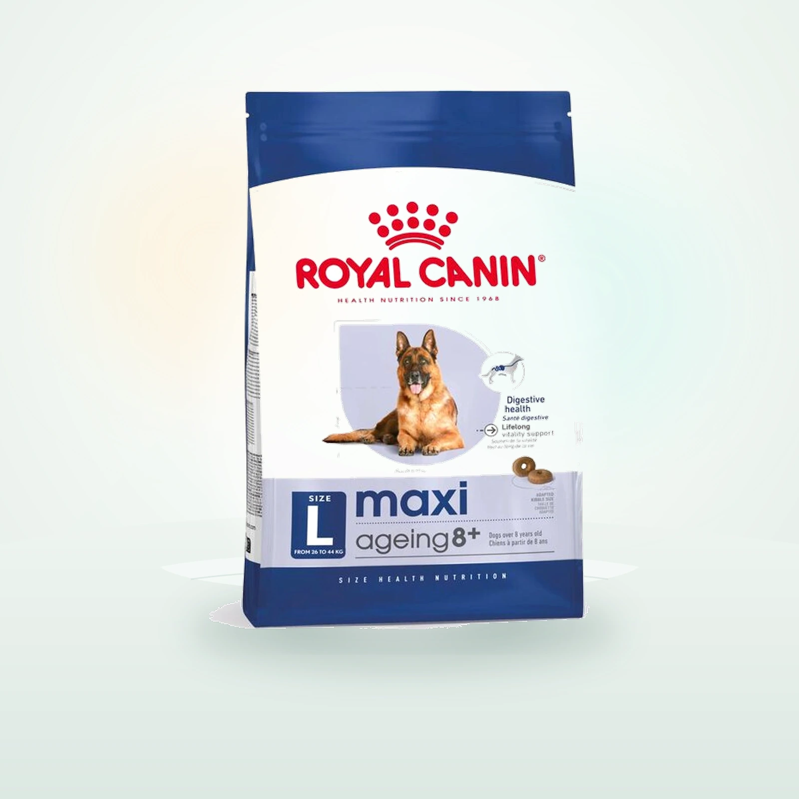 Royal Canin Maxi Ageing 8+ pienso para perros senior