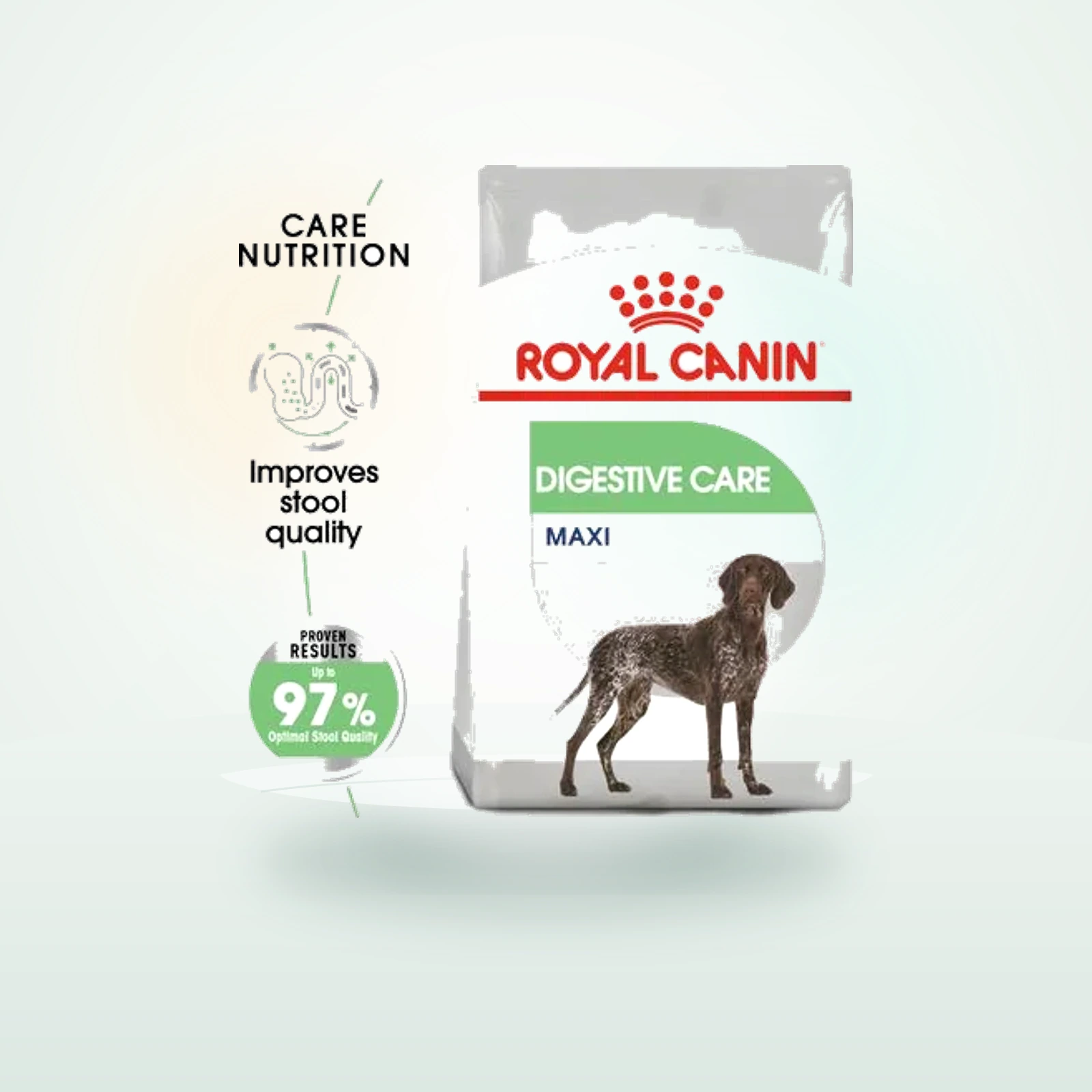 Royal Canin Maxi Digestive Care