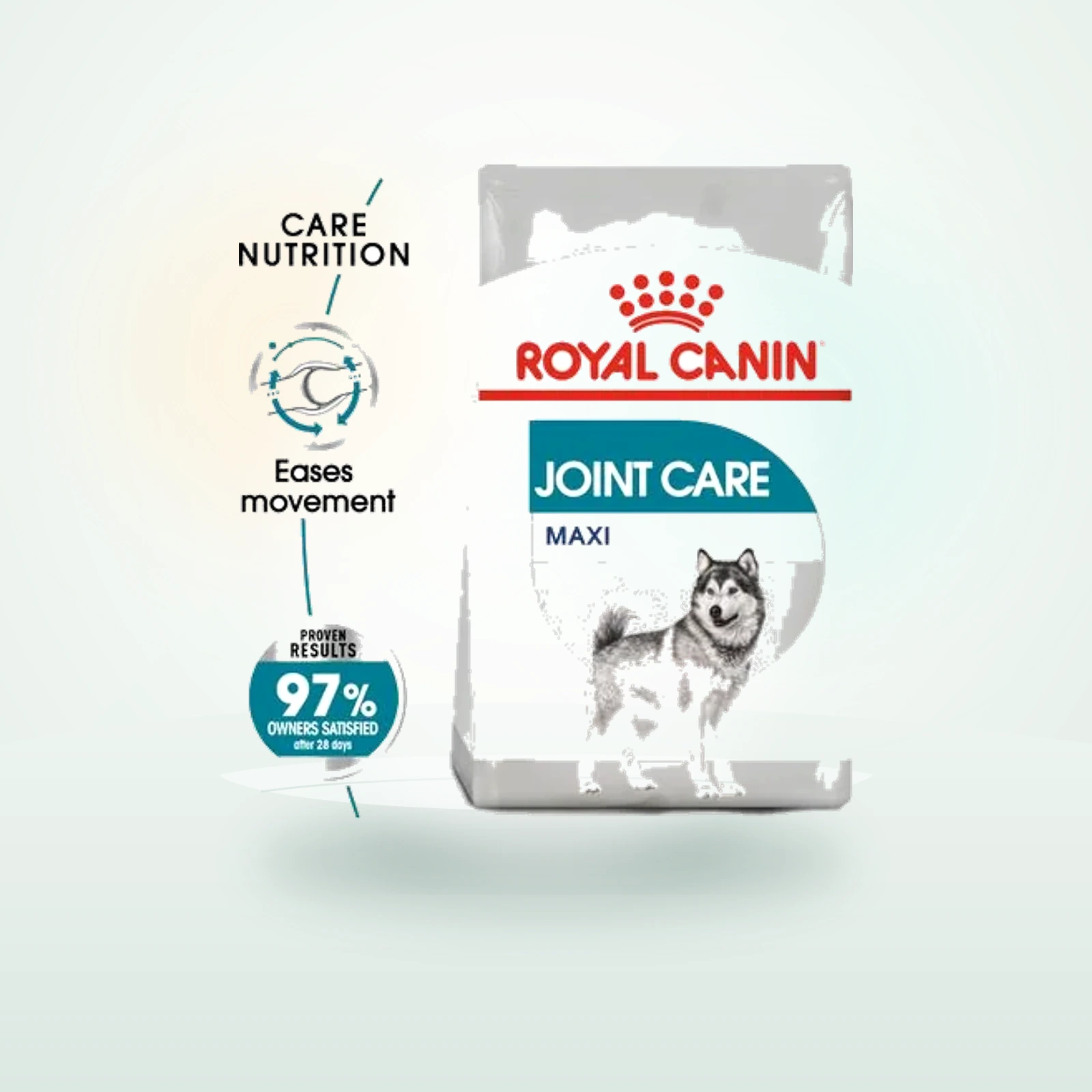 Royal Canin Maxi Joint Care