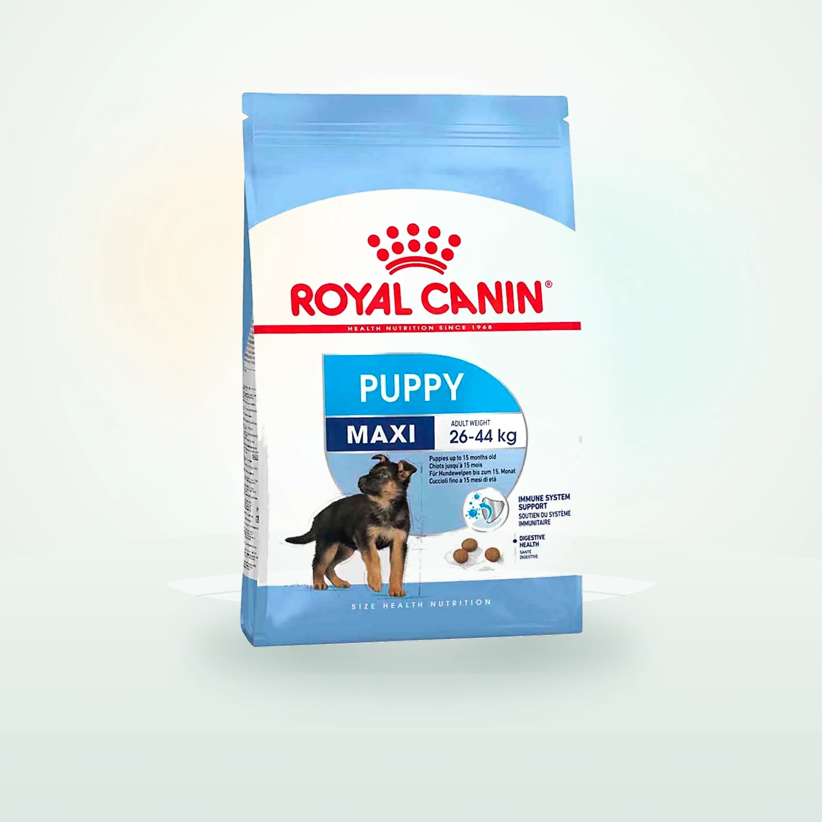 Royal Canin Maxi Junior