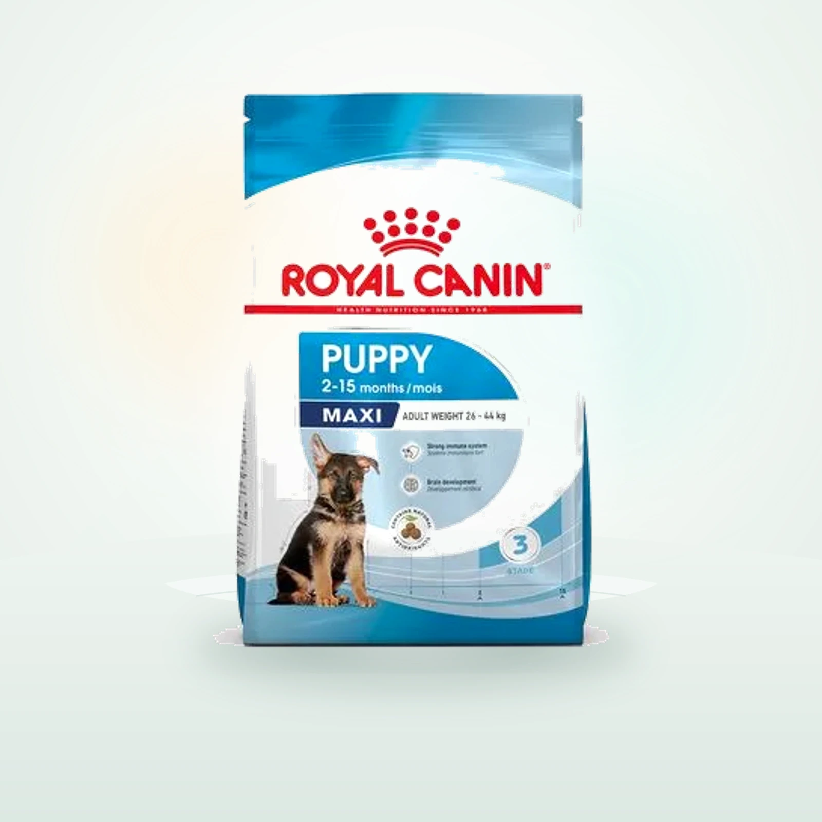 Royal Canin Maxi Puppy