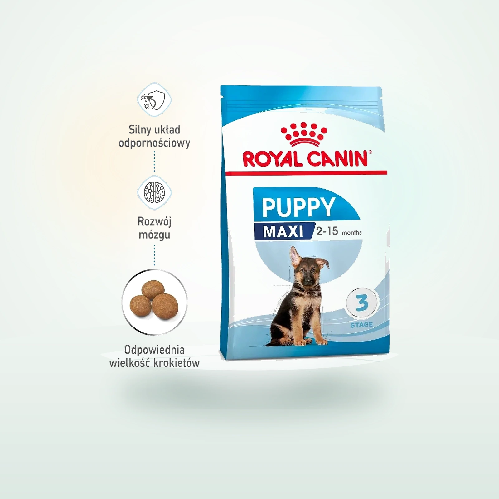 Royal Canin Maxi Puppy karma sucha dla szczeniąt, od 2 do 15 miesiąca życia, ras dużych