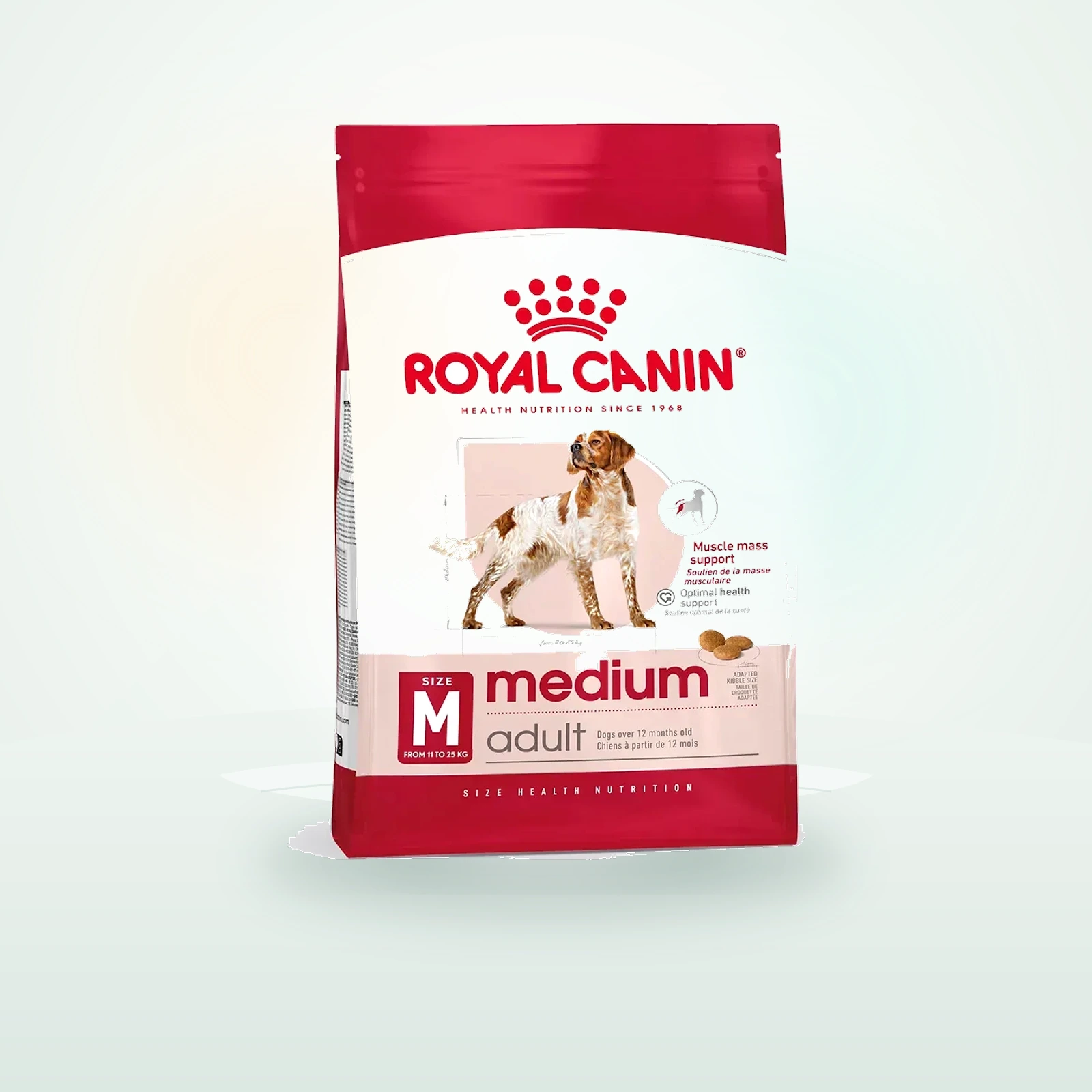 Royal Canin Medium Adult Alimento Completo per Cani Adulti di Taglia Media