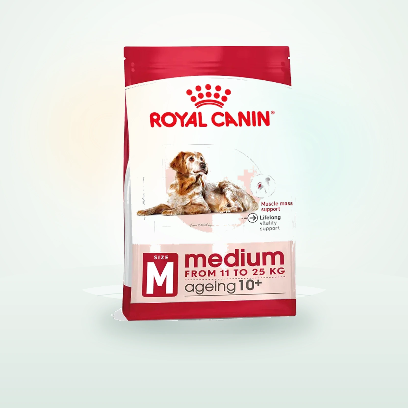 Royal Canin Medium Ageing 10+ Size Health Nutrition Dry Dog Food