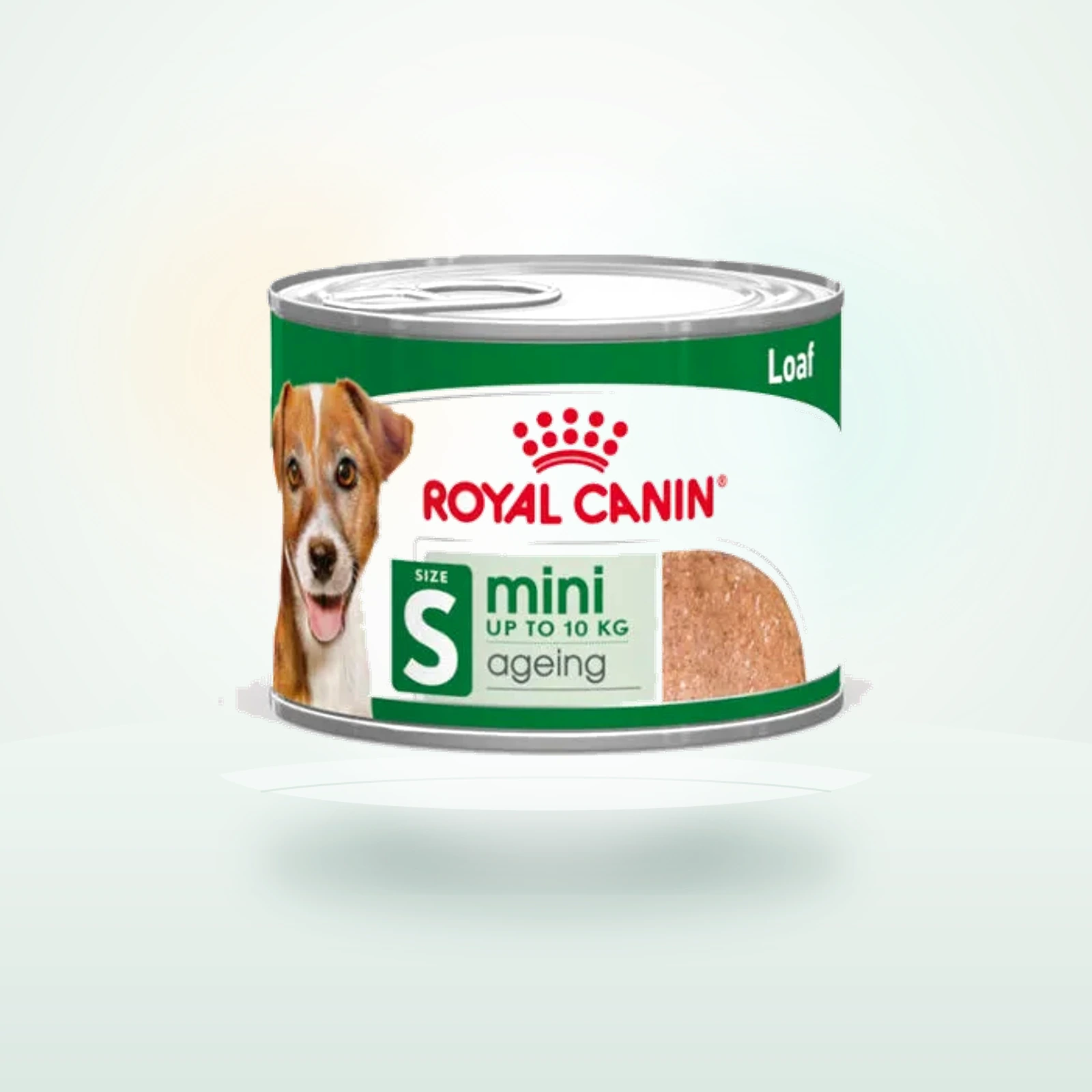 Royal Canin Mini 8+ Ageing lata senior