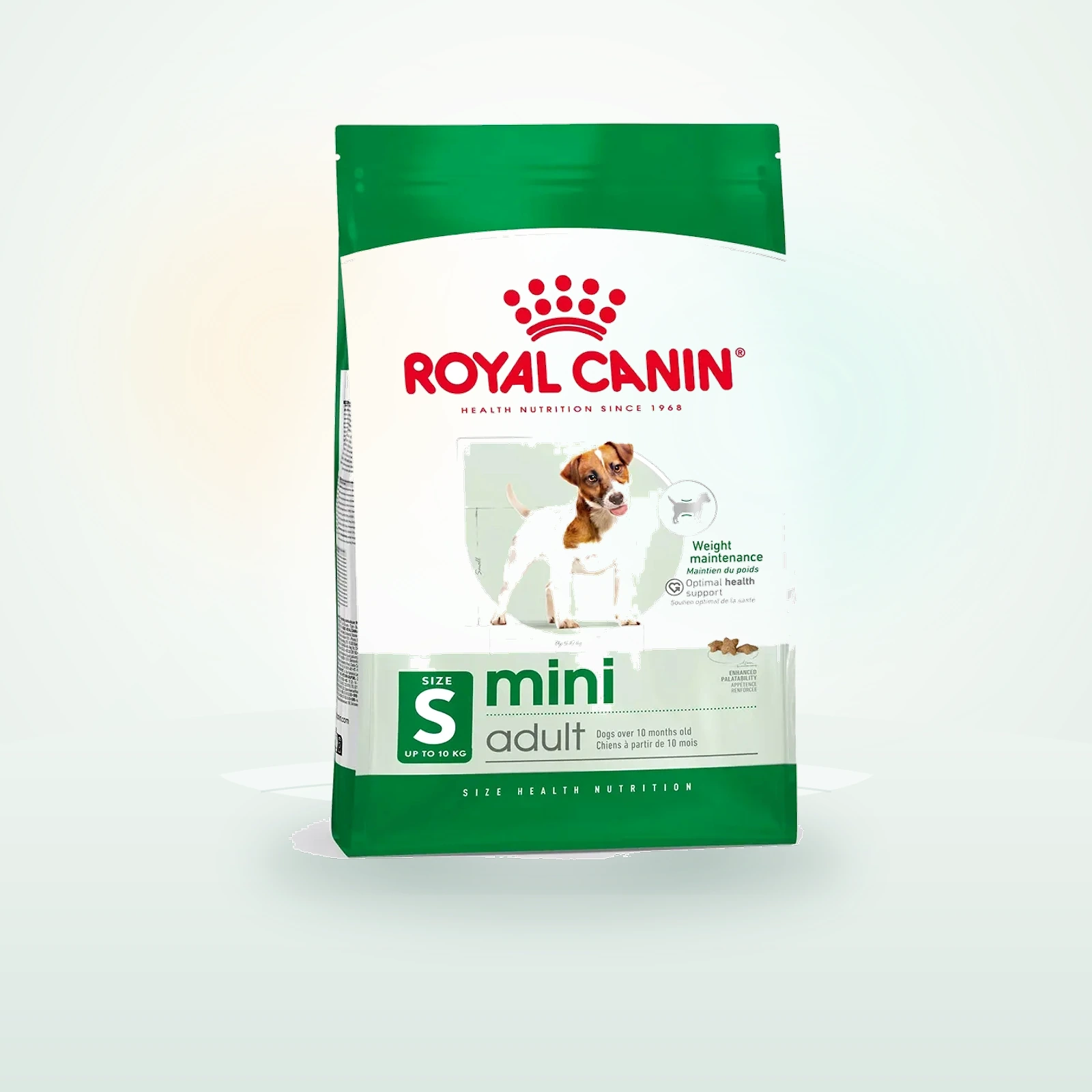 Royal Canin Mini Adult Alimento Completo per Cani Adulti di Piccola Taglia