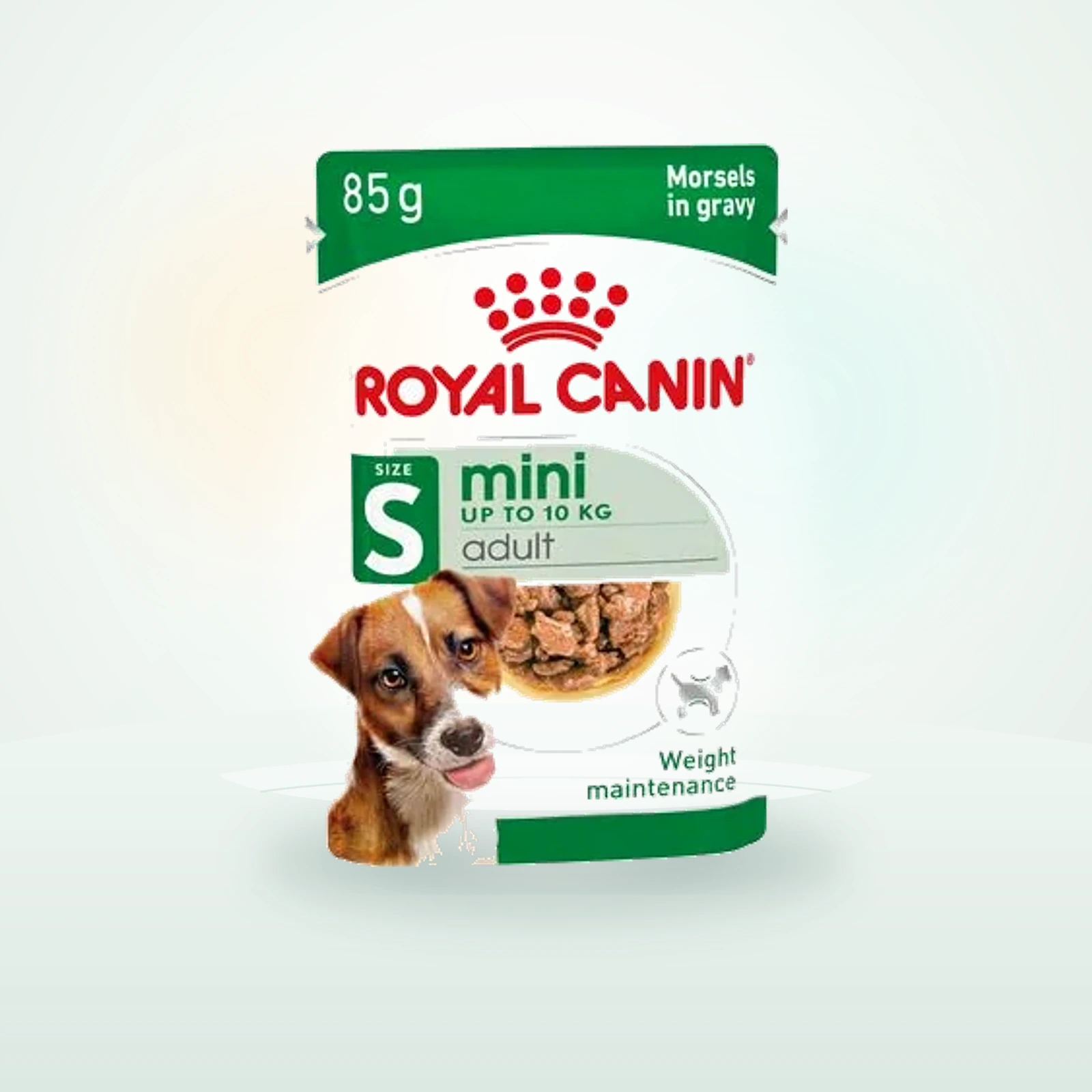 Royal Canin Mini Adult in Gravy
