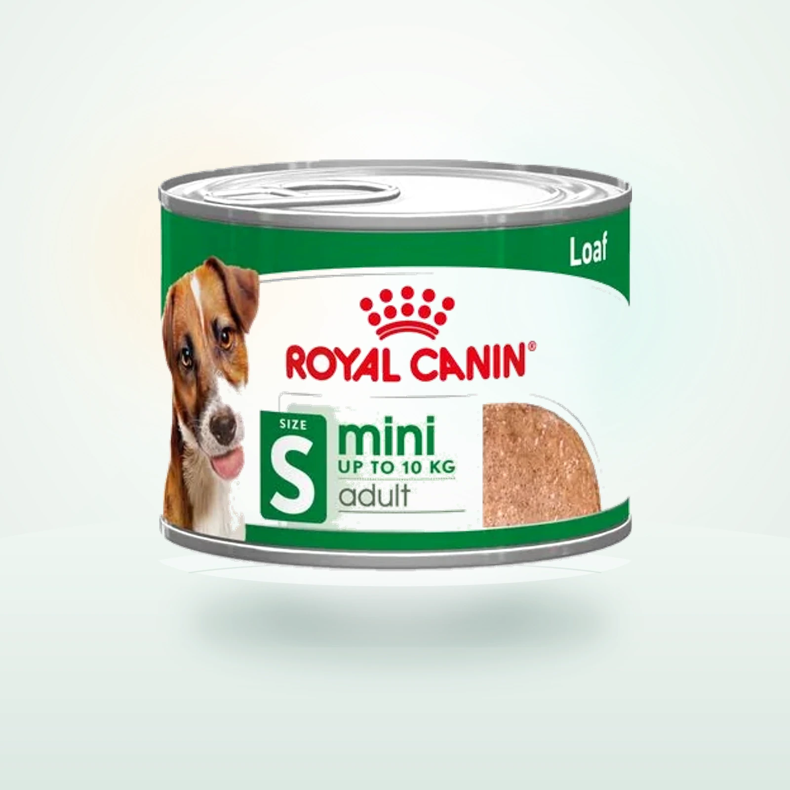 Royal Canin Mini Adult in Loaf
