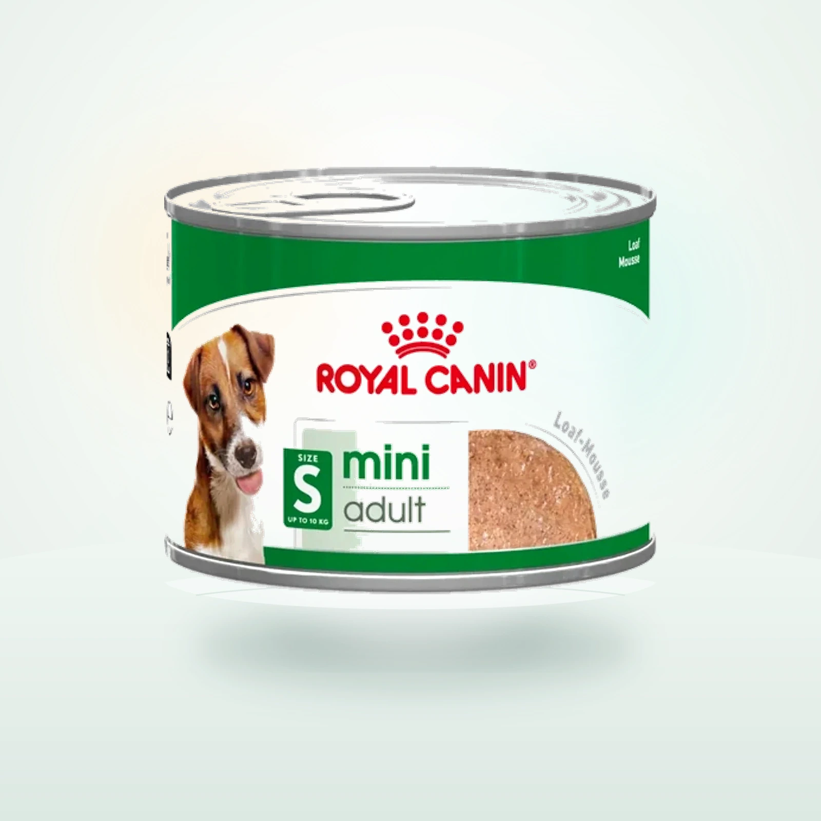 Royal Canin Mini Adult in patè