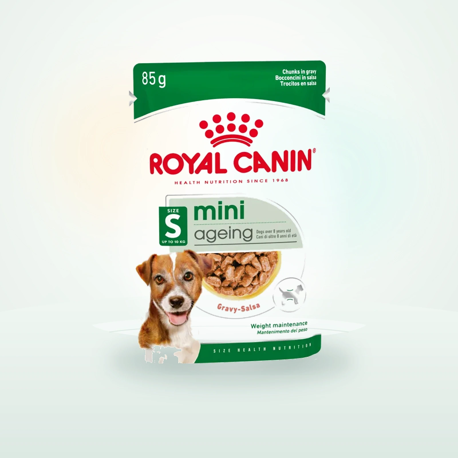 Royal Canin Mini Ageing 8 Wet