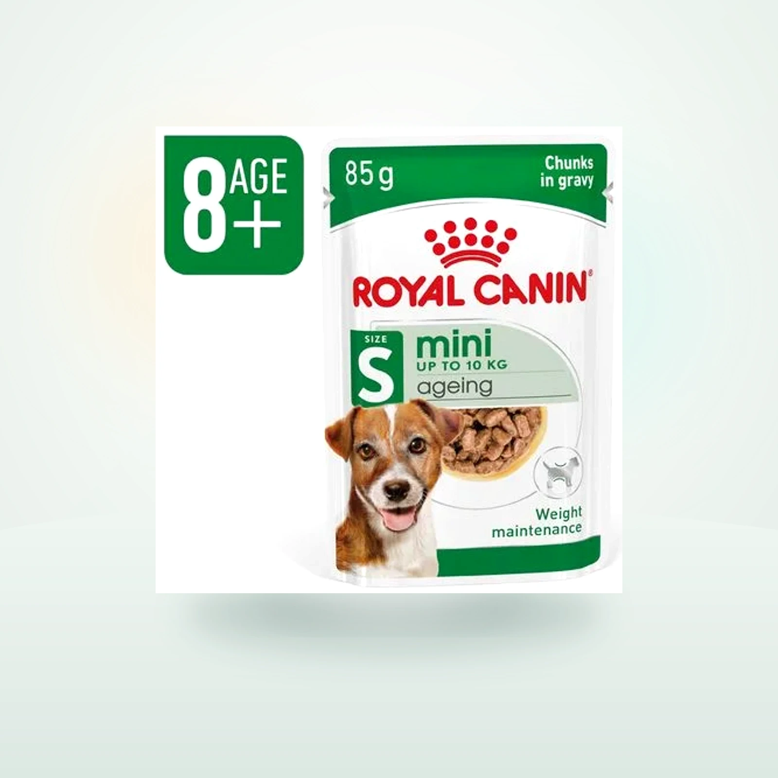 Royal Canin Mini Ageing umido in salsa per cane