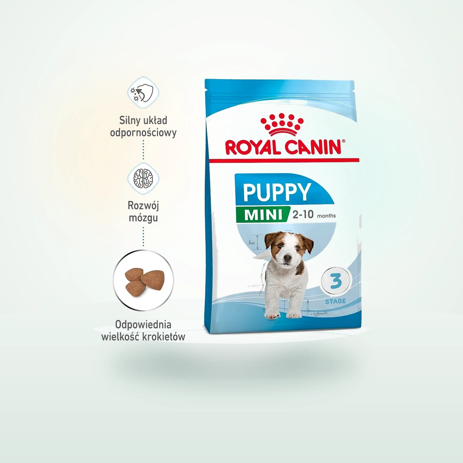 Royal Canin Mini Puppy / Junior karma sucha dla szczeniąt, od 2 do 10 miesiąca życia, ras małych