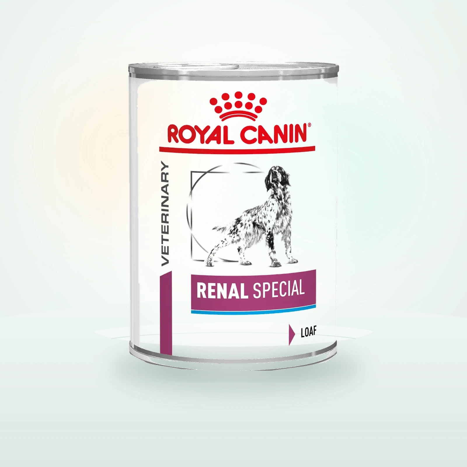 Royal Canin Renal Special Wet Hund