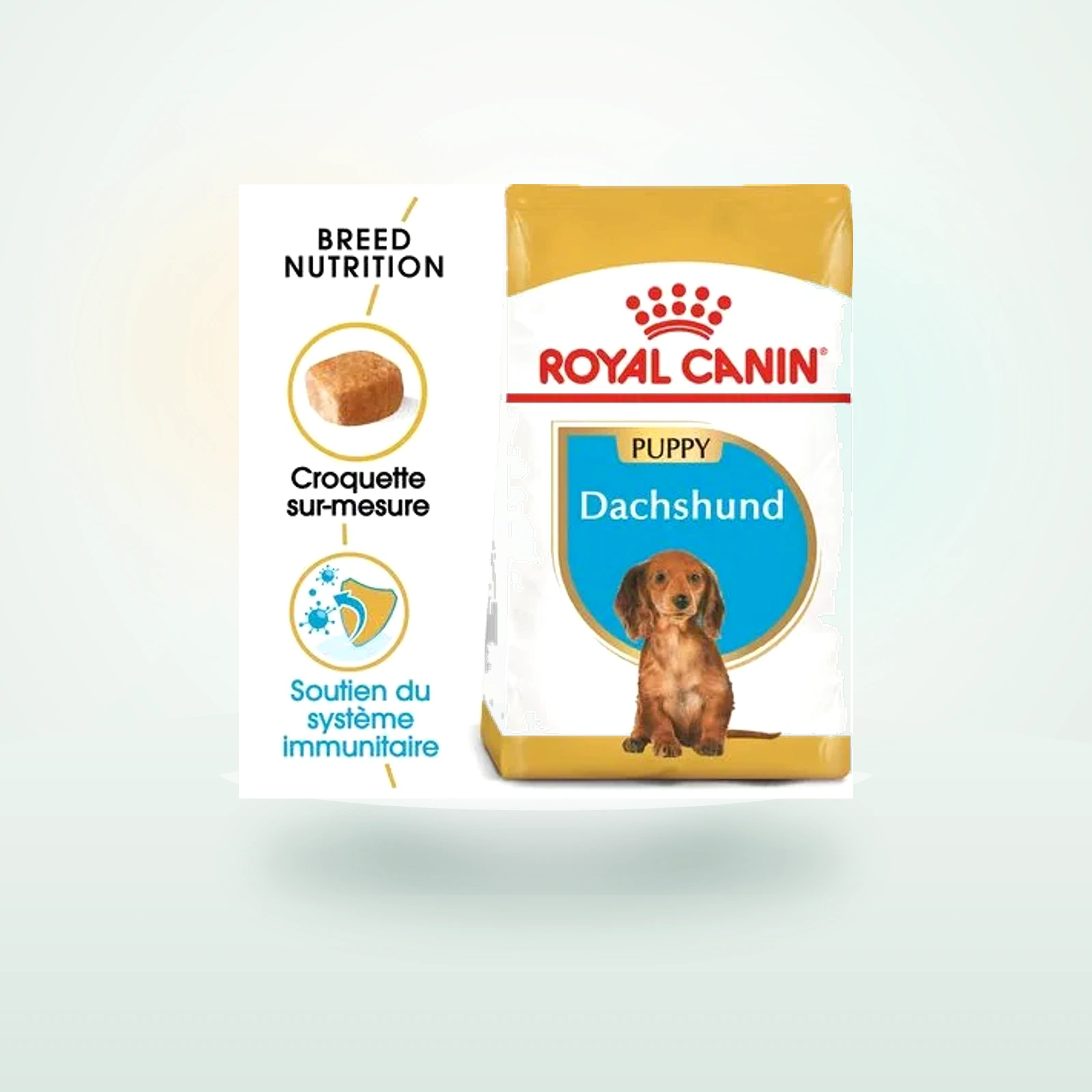 Royal Canin Teckel Puppy pour chiot