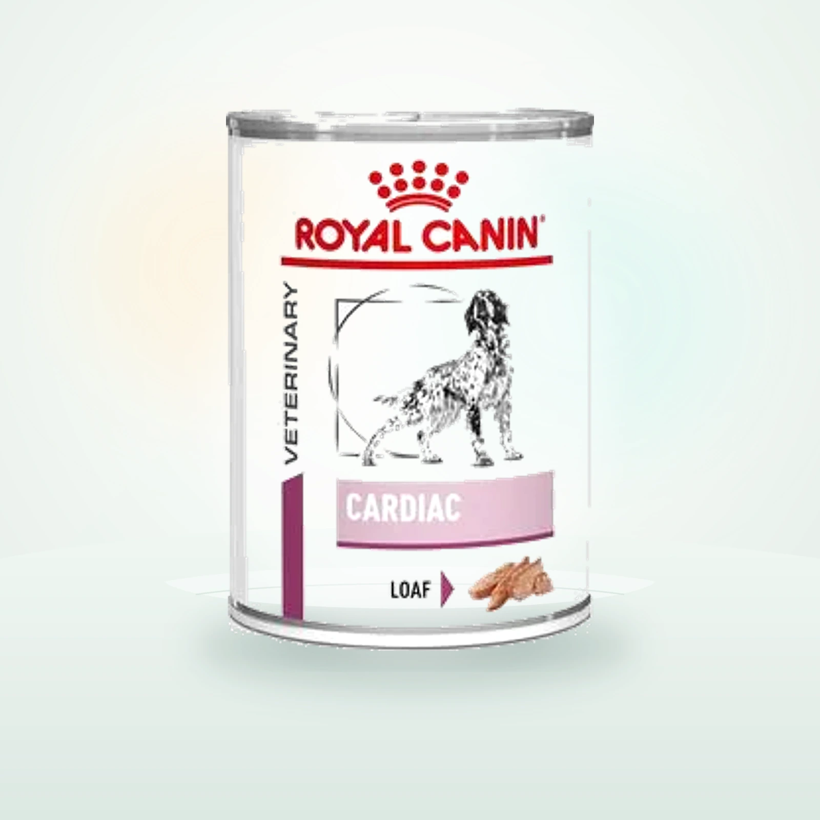 Royal Canin Veterinary Canine Cardiac Mousse