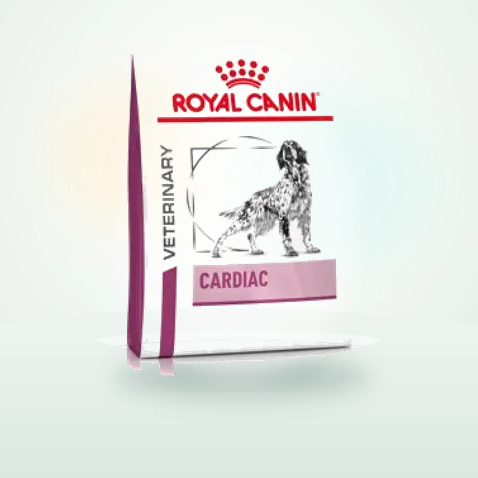 Royal Canin Veterinary Cardiac Croquettes Chien