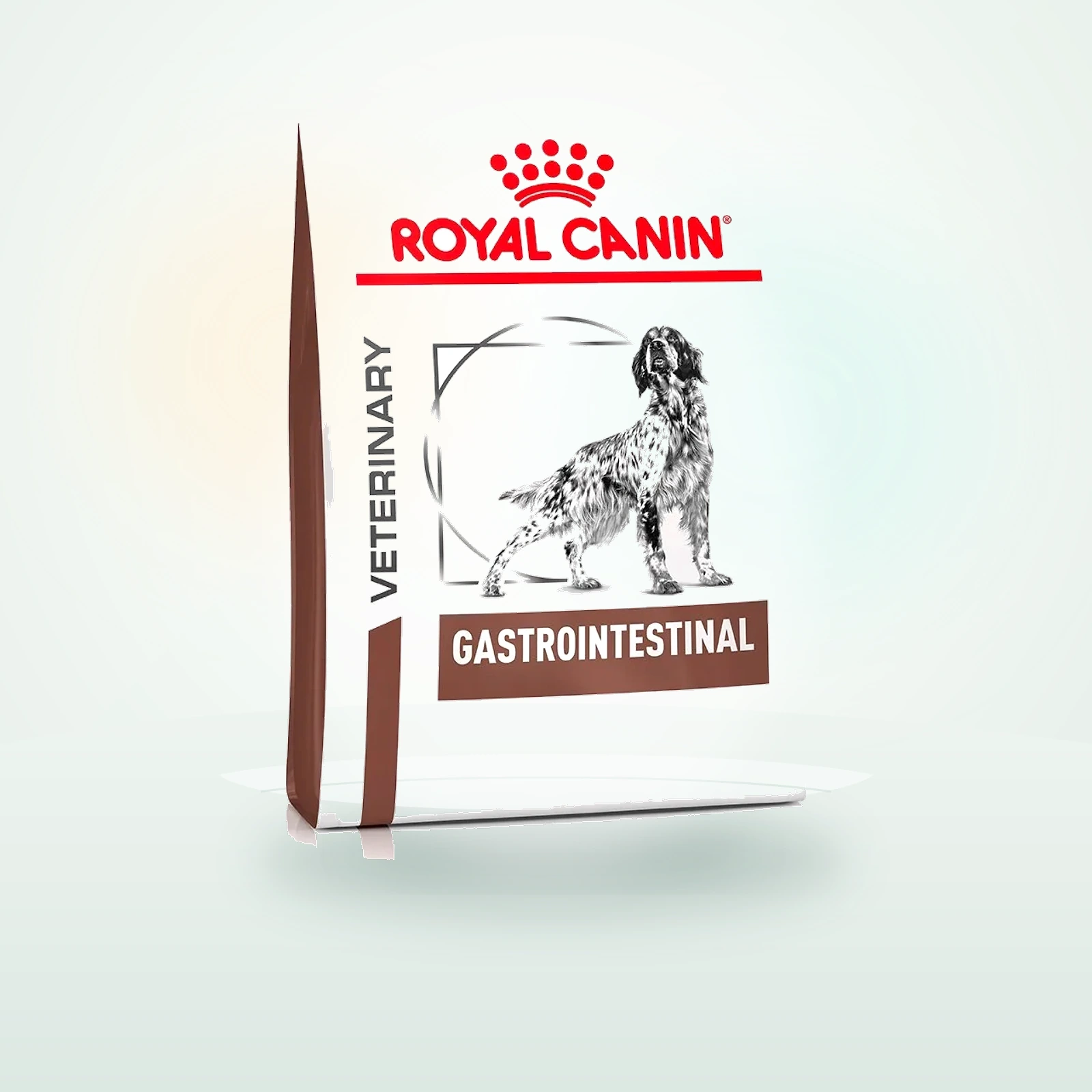 Royal Canin Veterinary GASTROINTESTINAL Trockenfutter für Hunde