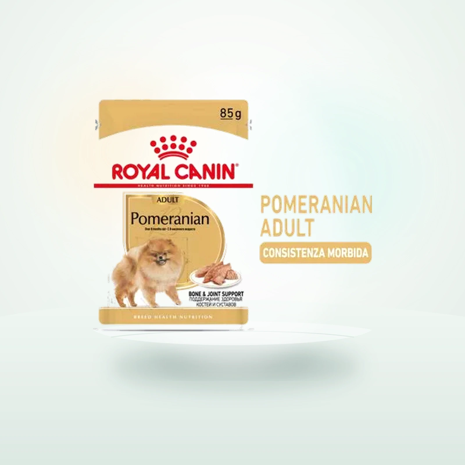 Royal Canin Vopino di Pomerania (Pomeranian) Adult Patè umido per cane