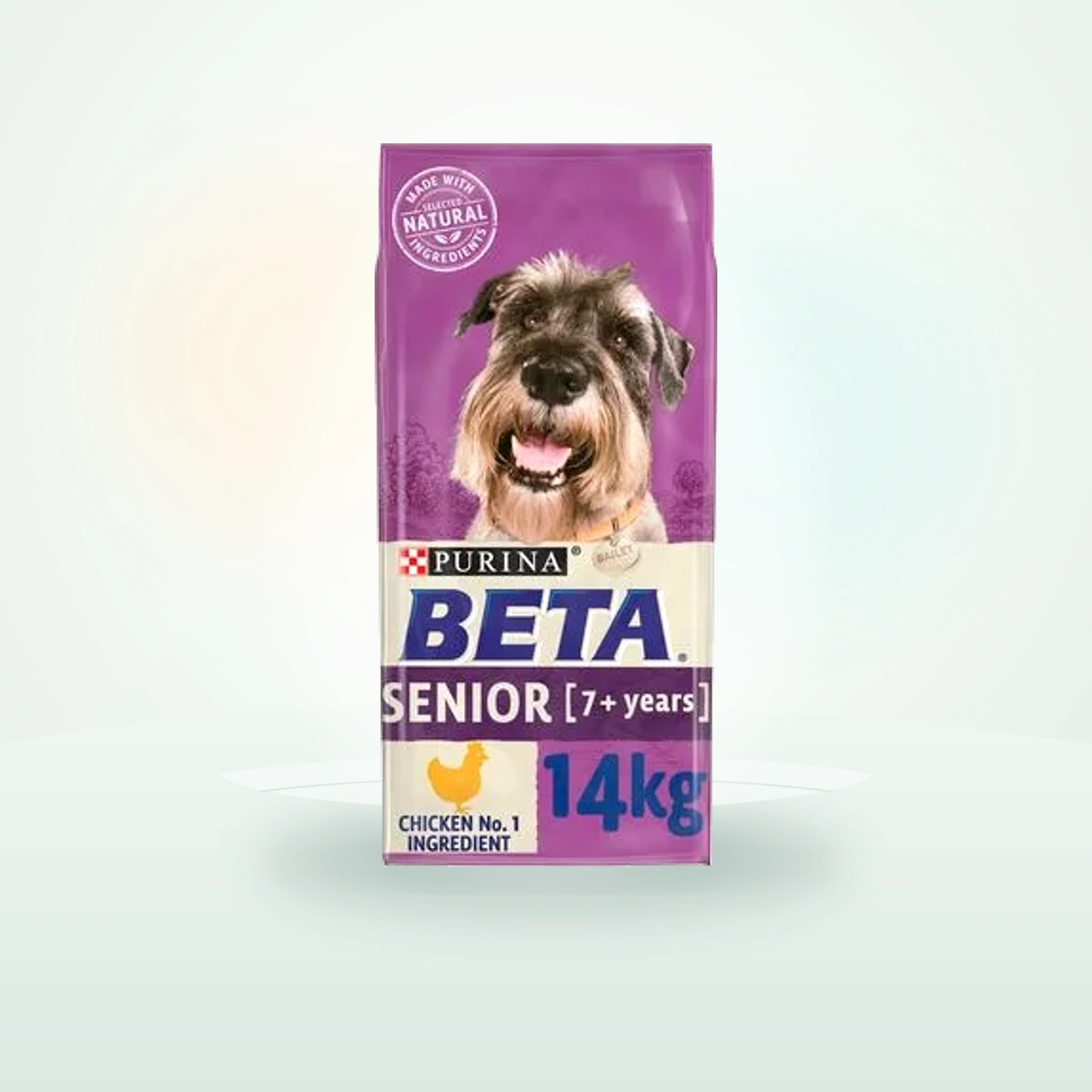 Senior BETA Senior Chicken