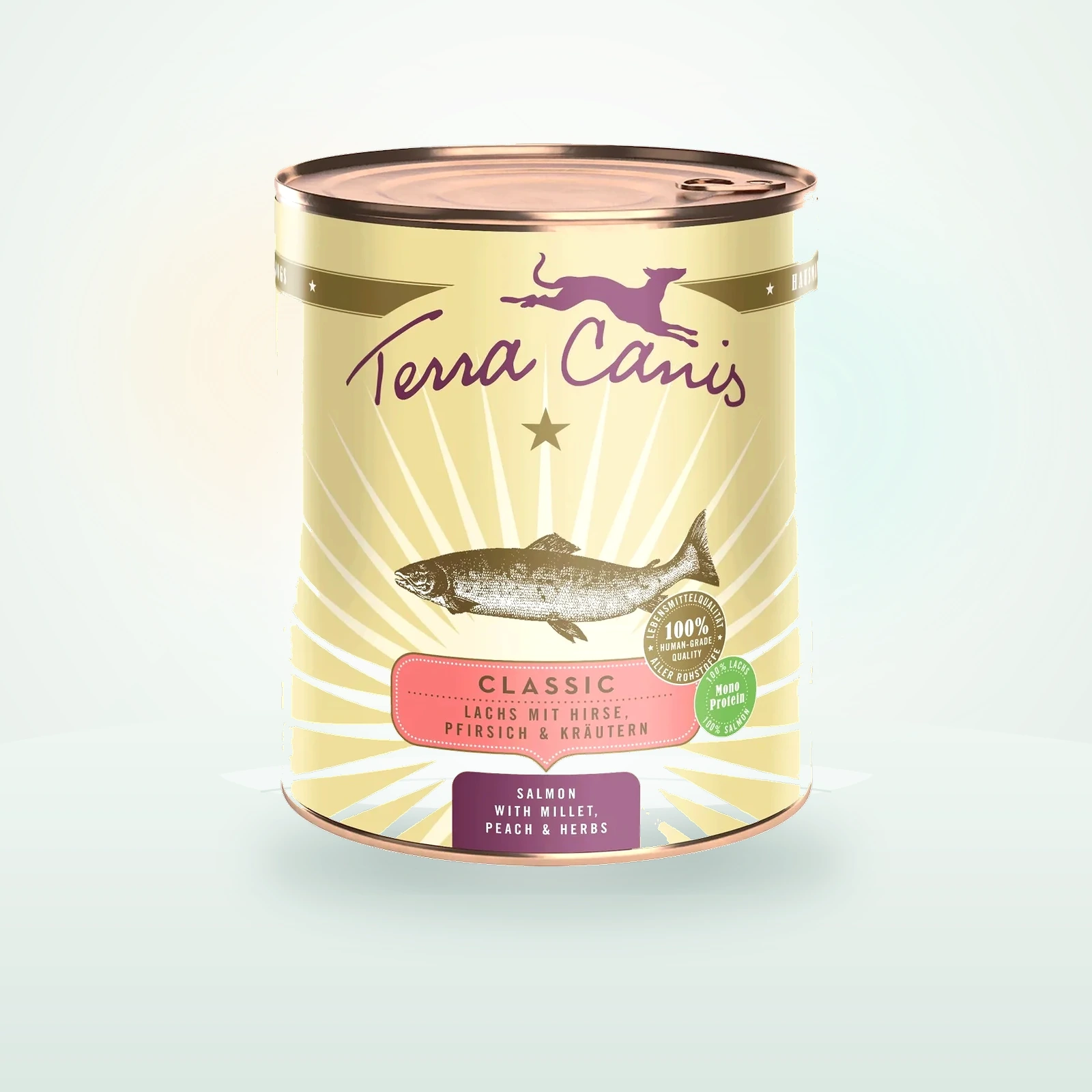Terra Canis Nourriture humide pour chien Classic adulte Saumon