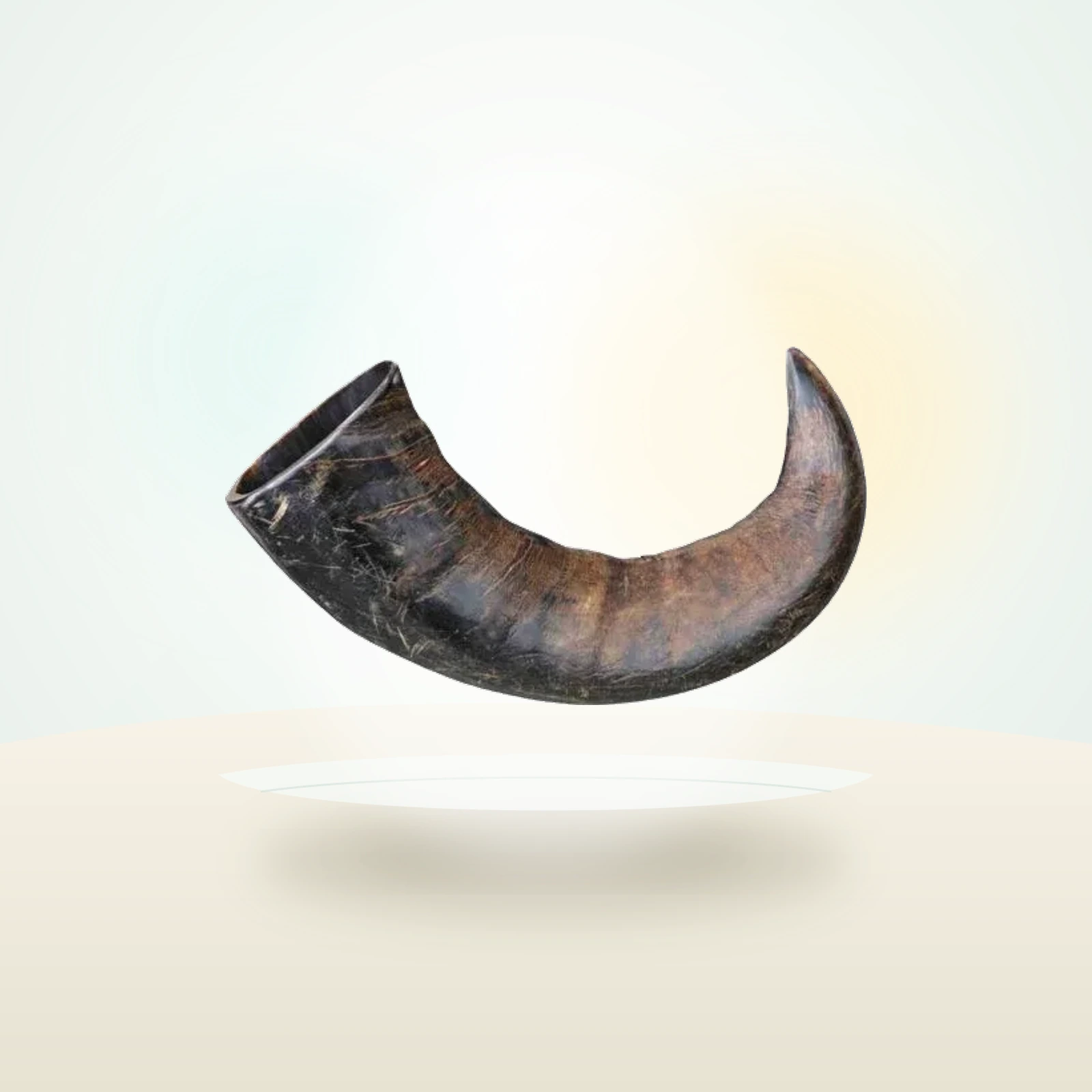 Trixie Buffalo Horn Chew