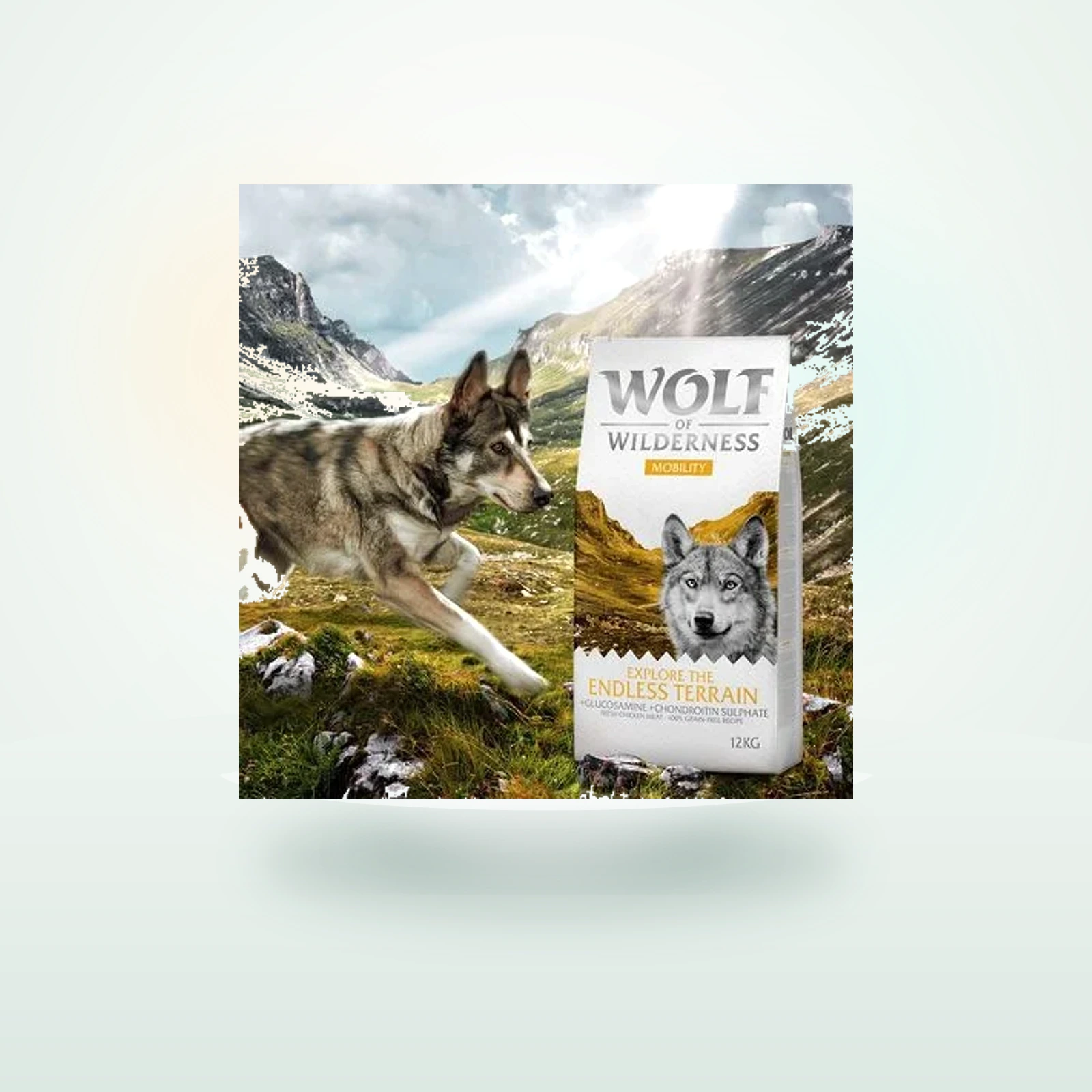 Wolf of Wilderness Explore the Endless Terrain Mobility