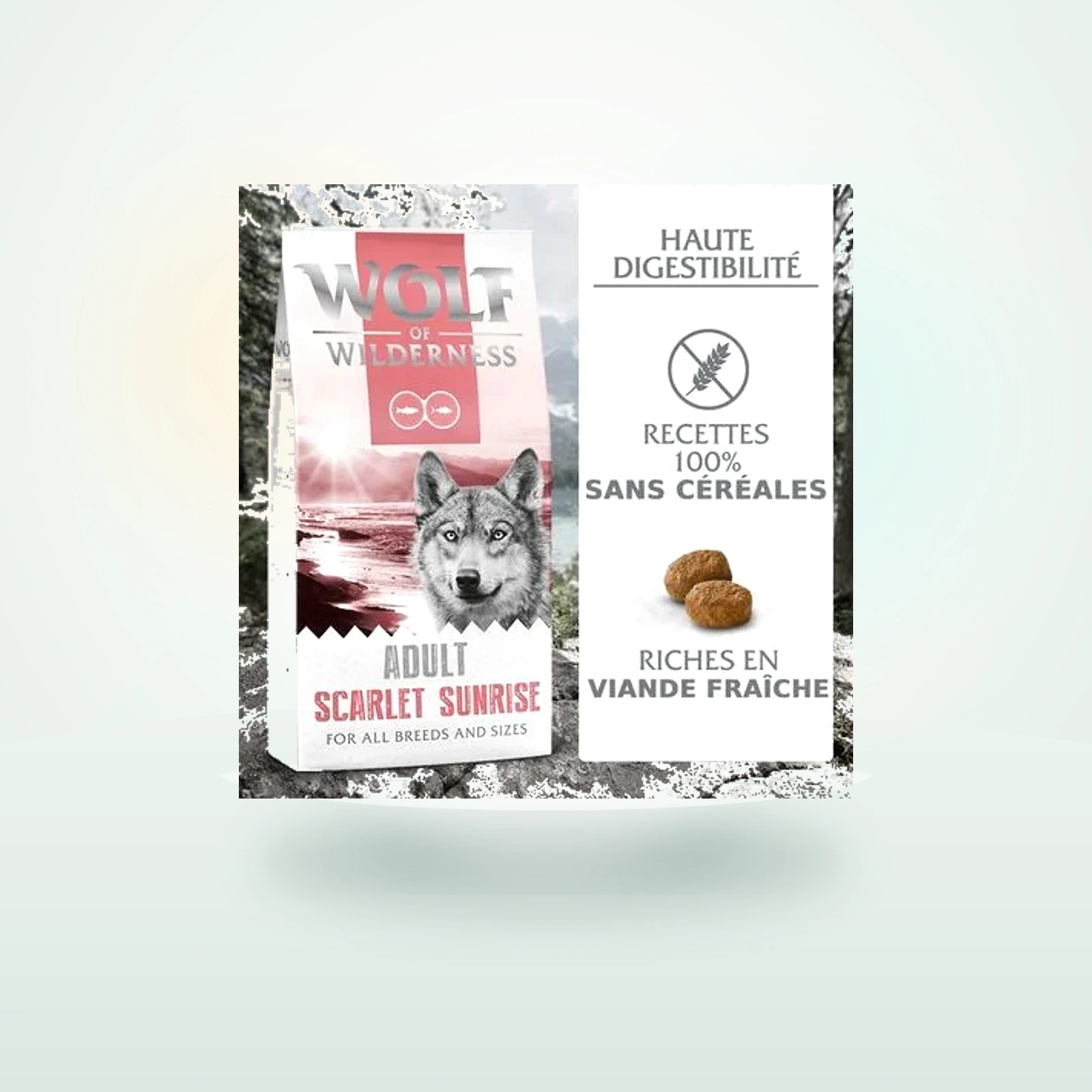 Wolf of Wilderness Scarlet Sunrise saumon et thon