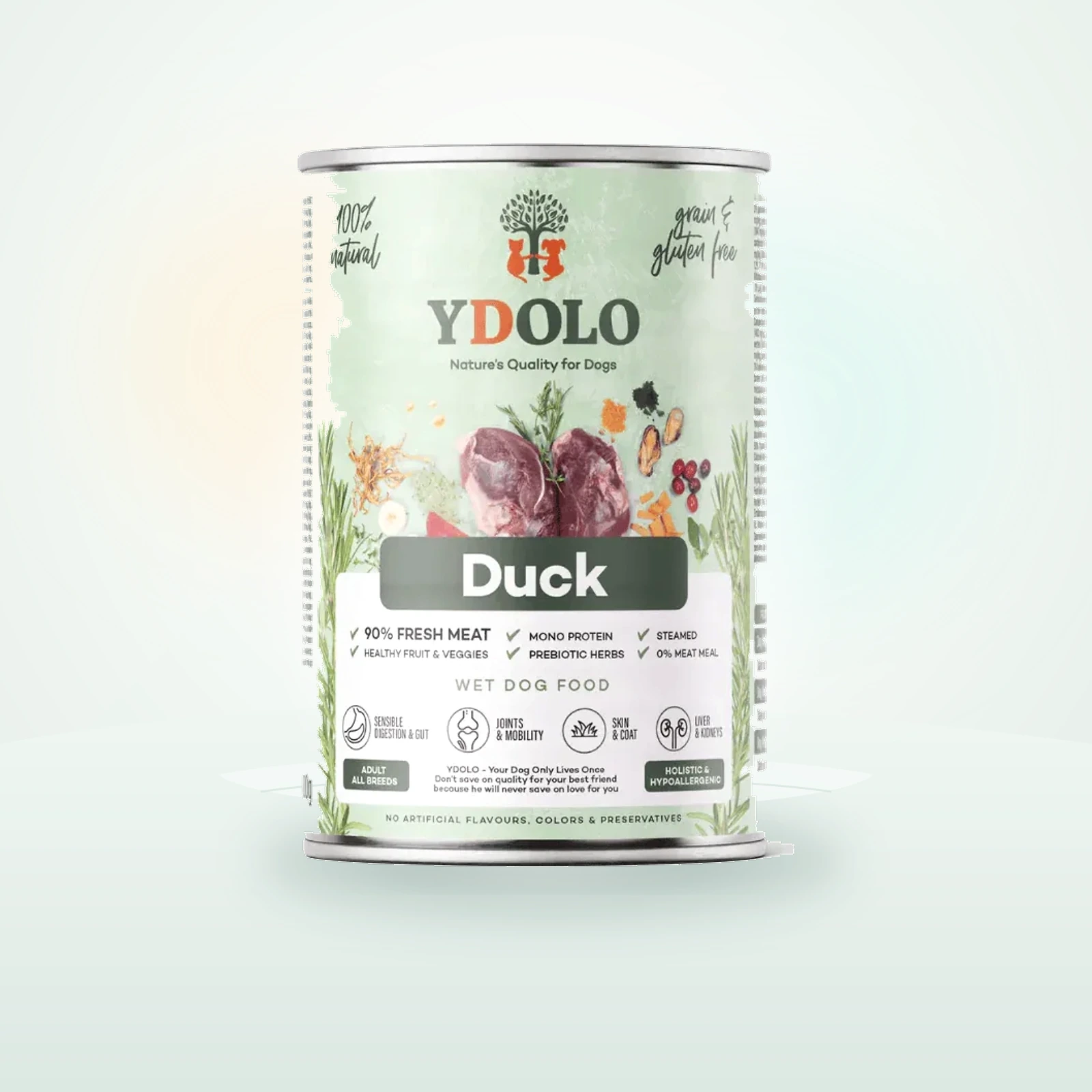 Ydolo Duck Wet Food