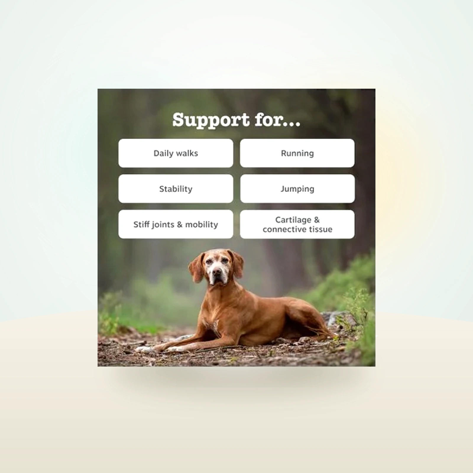 Zesty Paws Hip & Joint Chews Mobility - Turkey